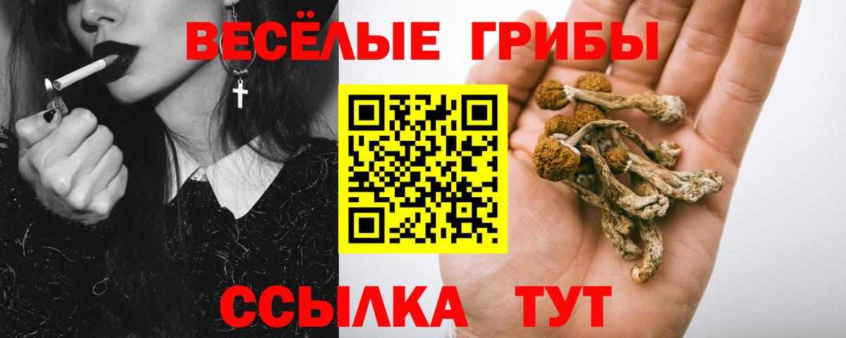 Белая Калитва  Псилоцибиновые грибы прущие грибы  Галлюциногенные грибы Psilocybe  Вход с VPN 